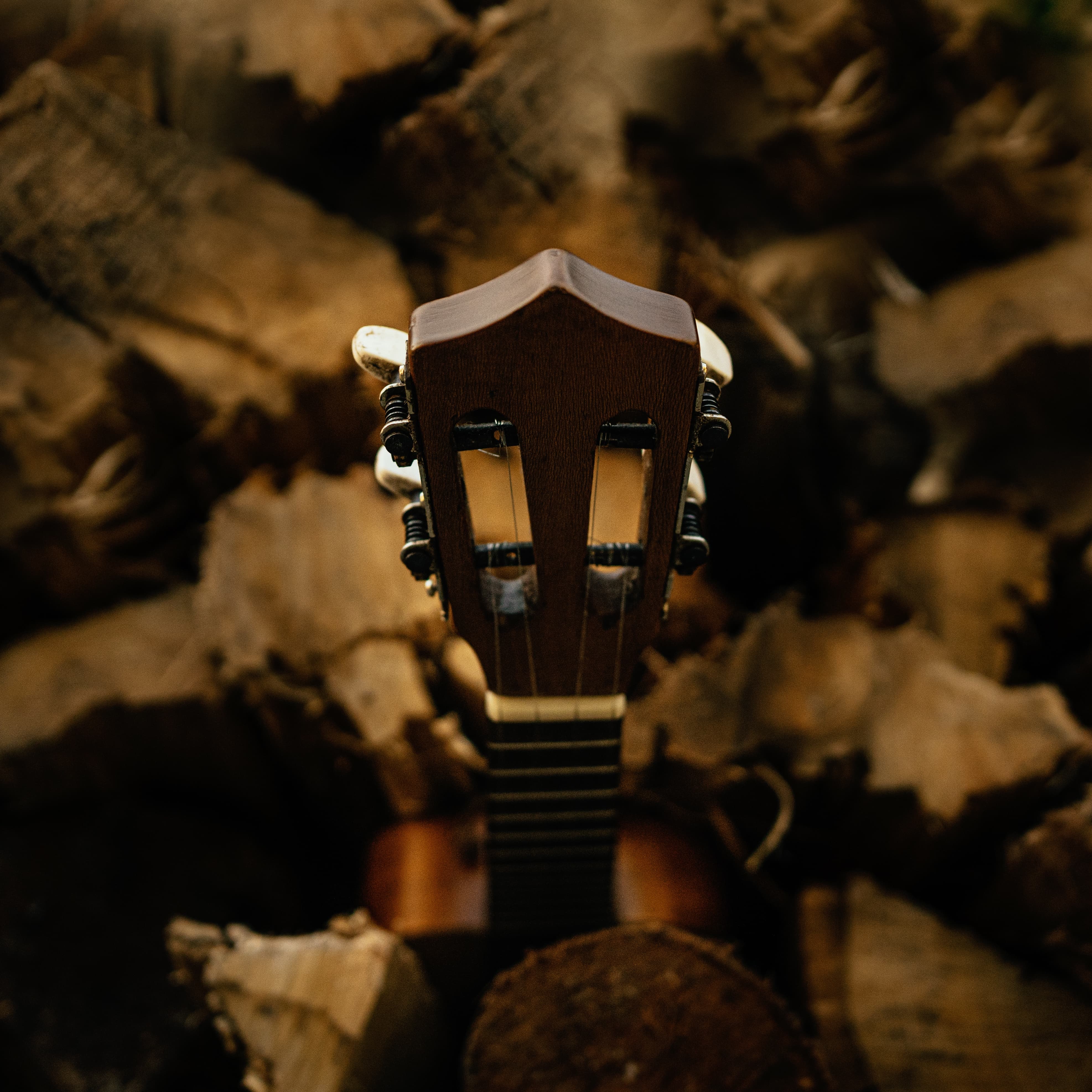 Cavaquinhazada artwork