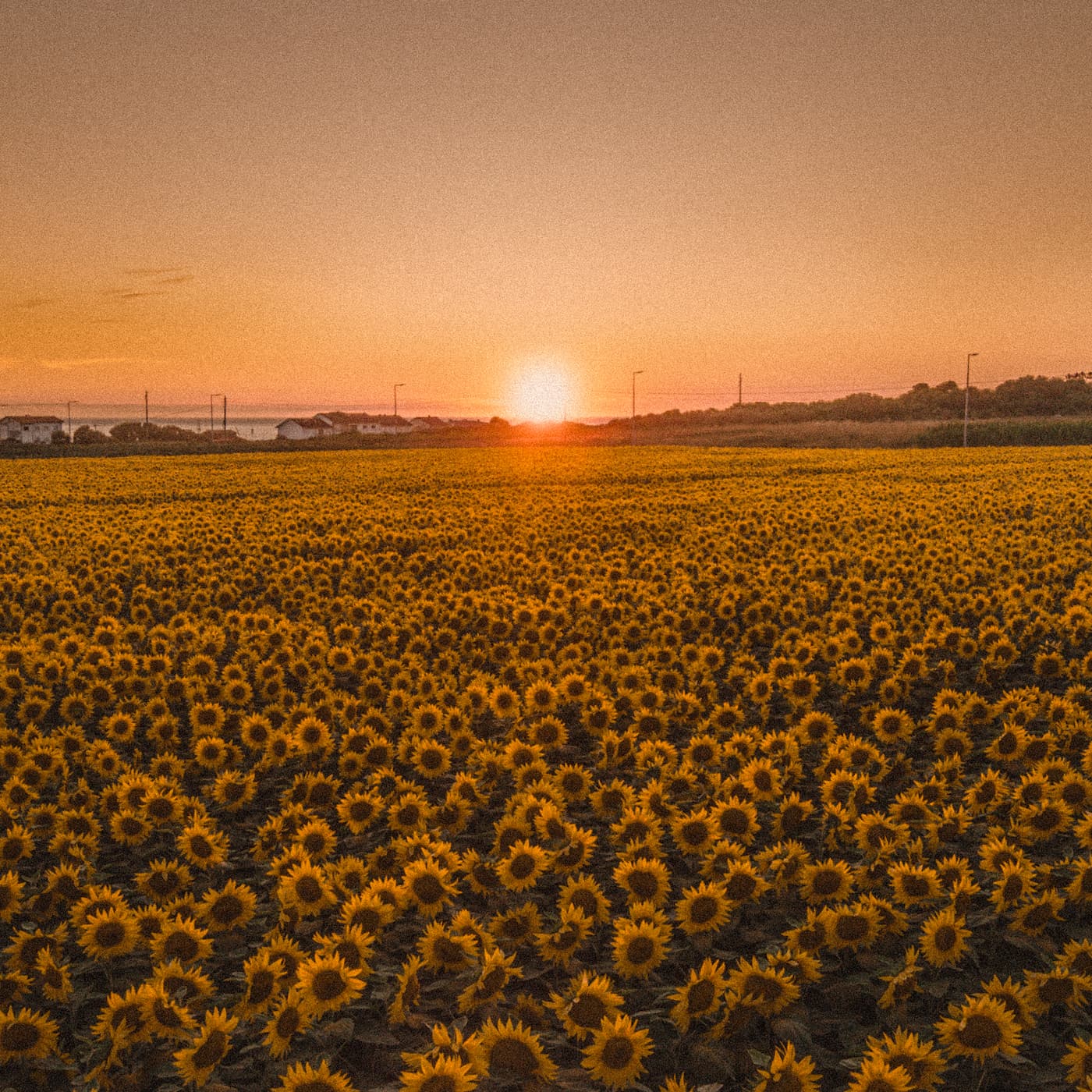 Slava Ukraini artwork